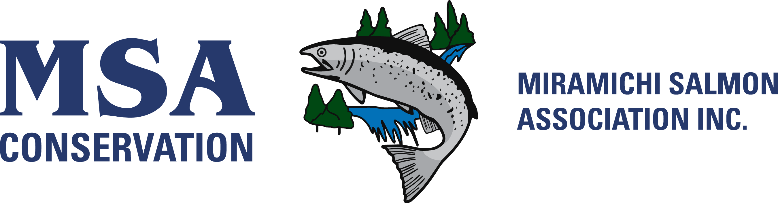Miramichi Salmon Association