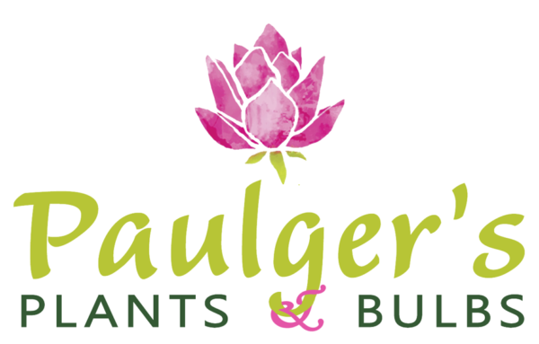 parkbulbs.com