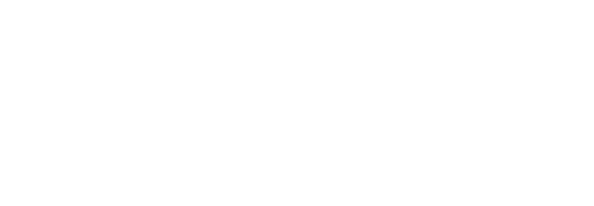 Progressive Policy Institute