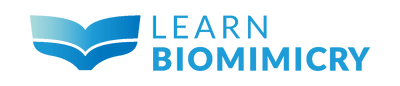 learnbiomimicry.com