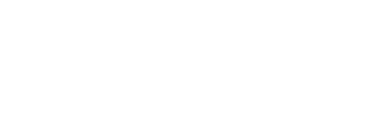 SFist logo favicon