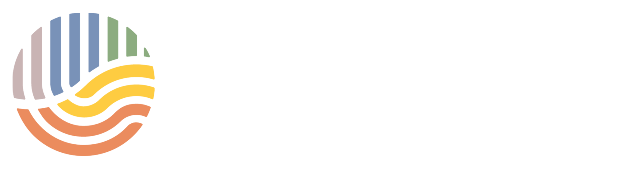 GLOBAL SOUTHS HUB