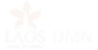 laos-dmn.com