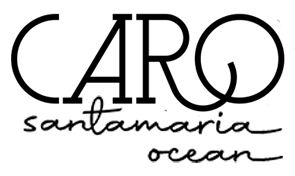 carosantamariaocean.com