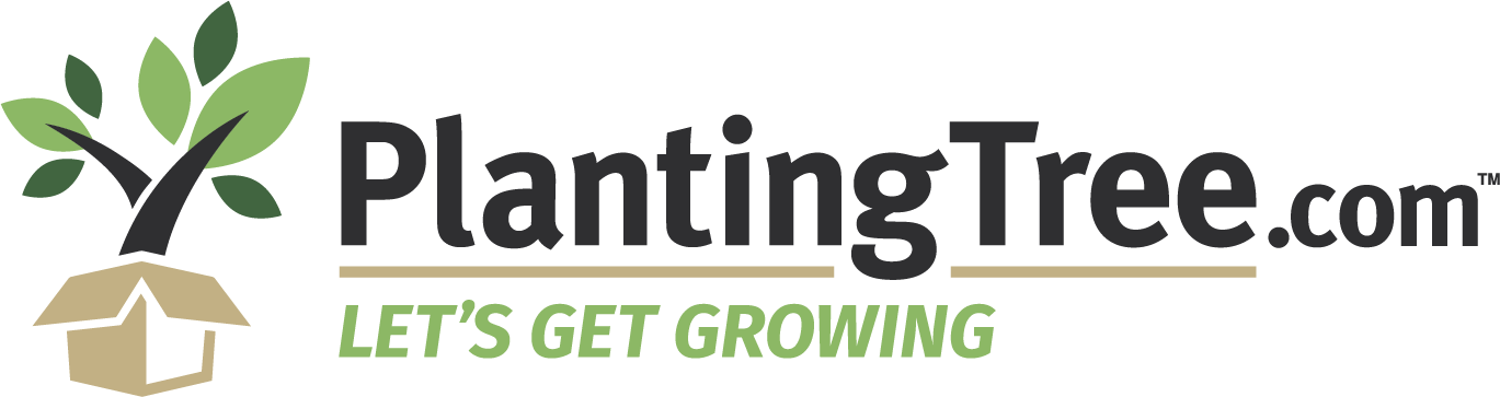PlantingTree