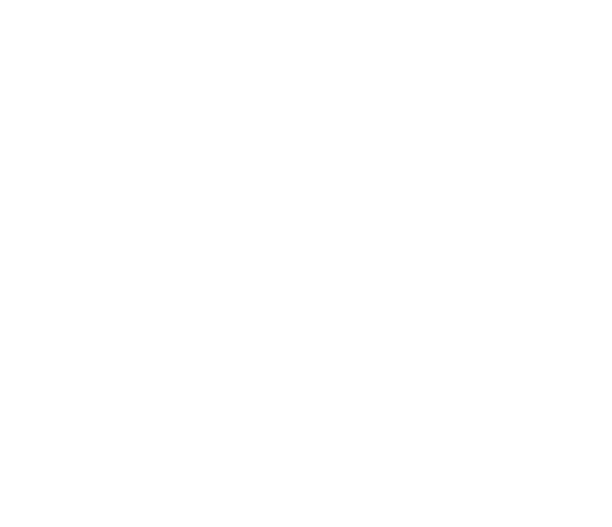 repositorio-digital.cide.edu