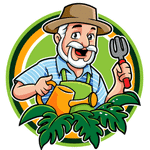 plantophiles.com