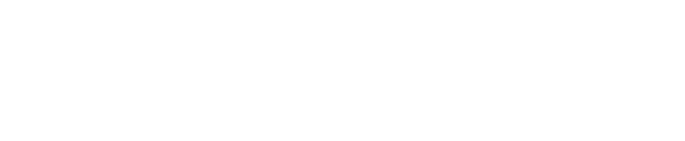 brucespringsteen.net