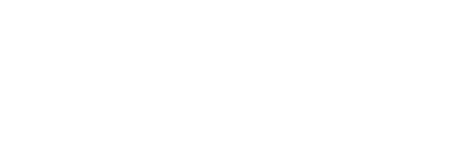Girl Scout Blog