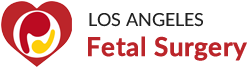 losangelesfetalsurgery.org