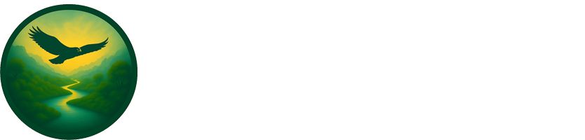 psychedelictherapyco.com