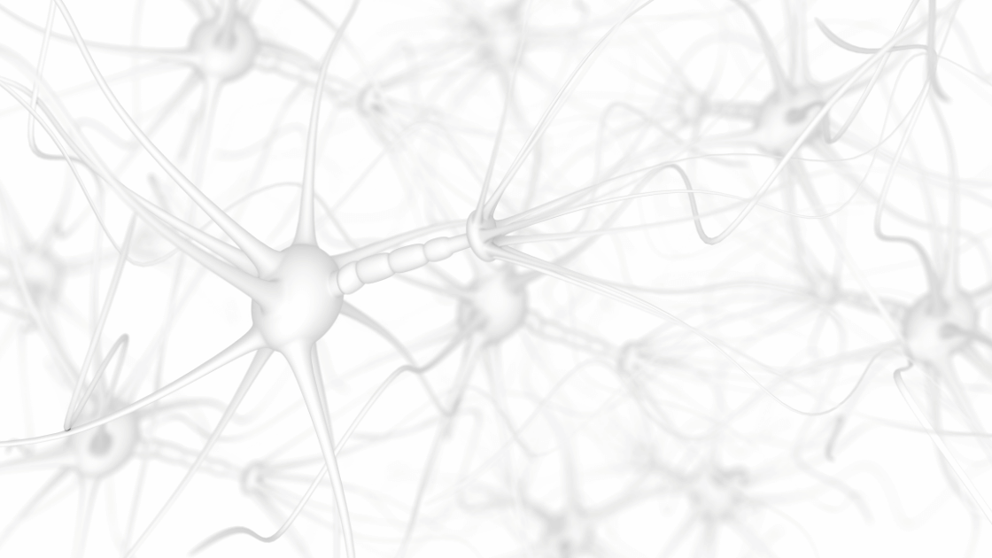 neuroba.com