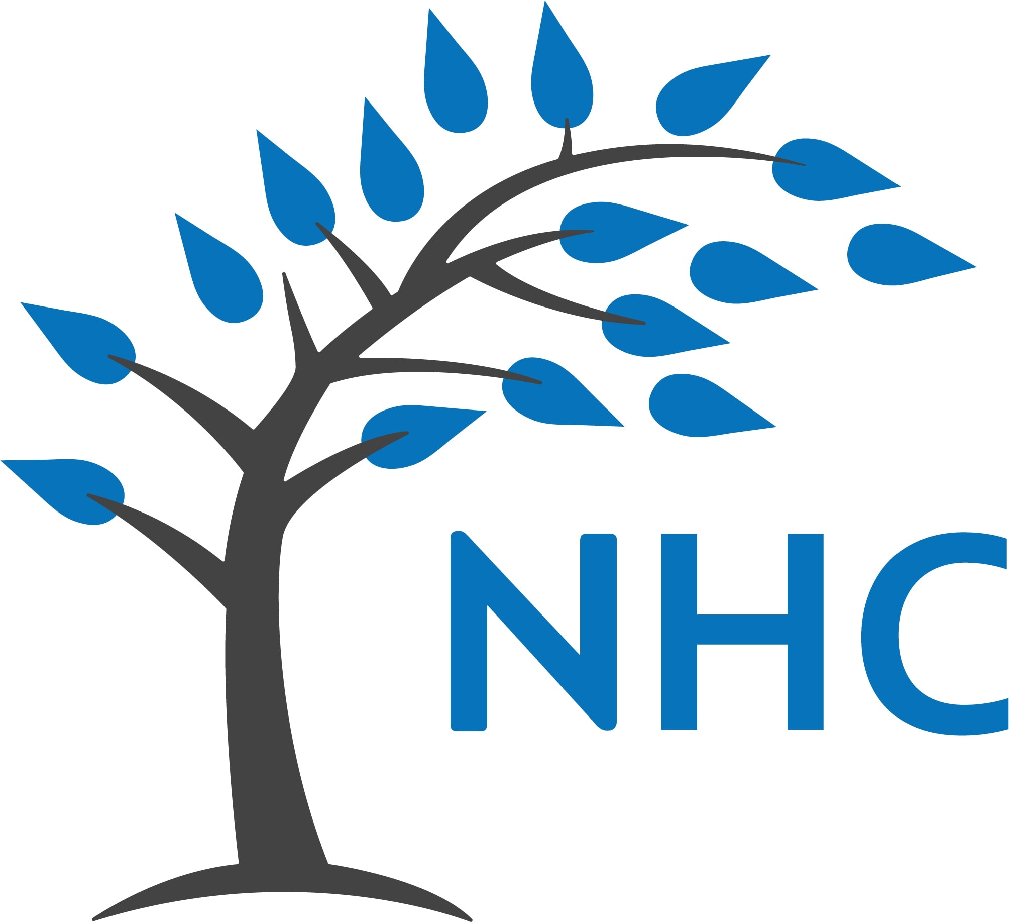 naturalhealthcarecollege.com