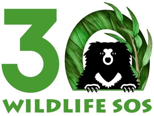 news.wildlifesos.org