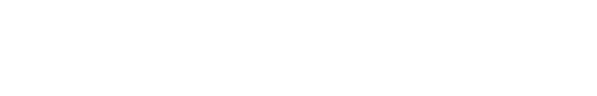 standwithus.com