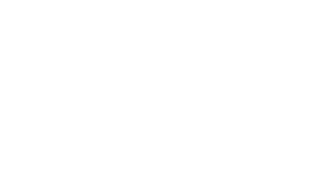 pirg.org logo favicon