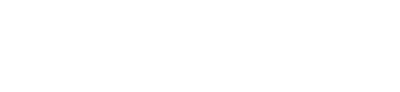 holisticds.com
