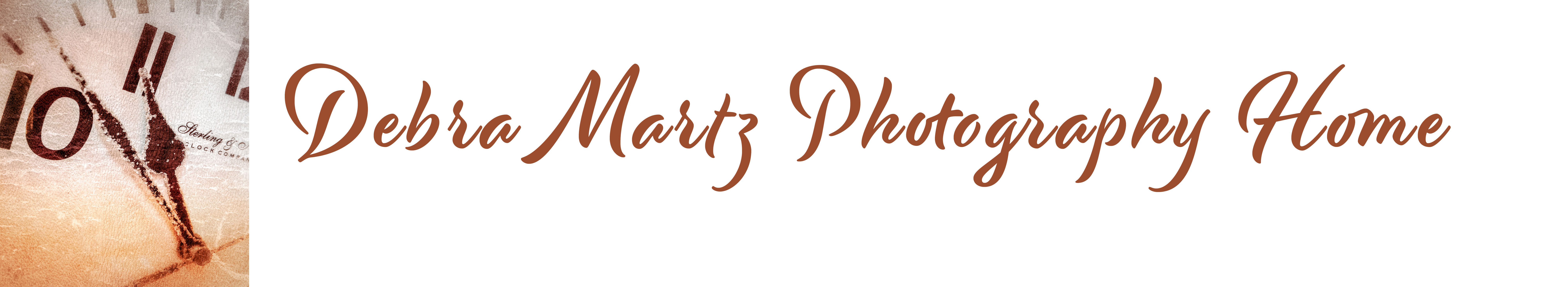 debramartz.com