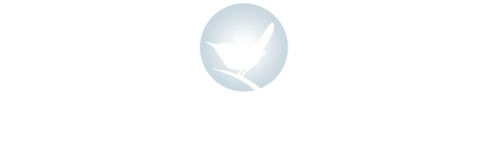 The Backyard Naturalist