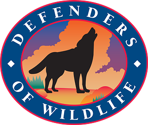 Defenders of Wildlife