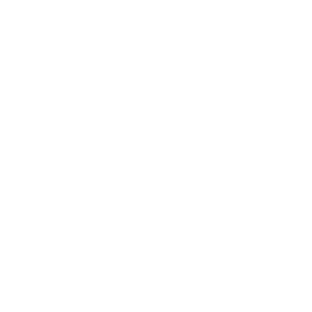 The Allman Betts Band