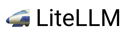 liteLLM