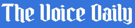 hot.newsonline.biz logo favicon