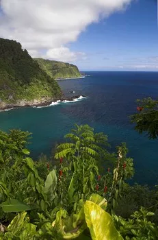 paradise-found-in-maui.com