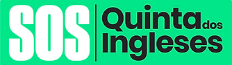 sosquintadosingleses.com