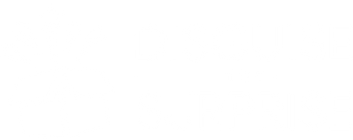disguisethesurprise.com