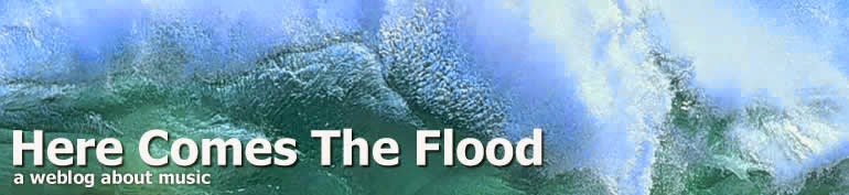 herecomestheflood.com