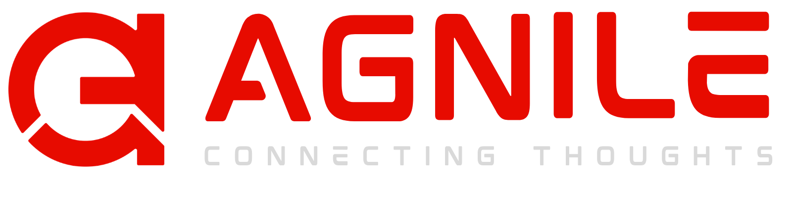 agnile.com
