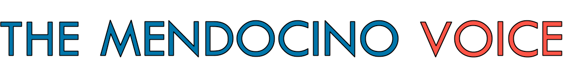 mendovoice.com logo favicon
