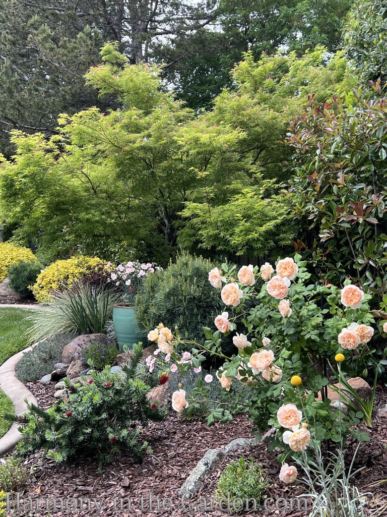 harmonyinthegarden.com