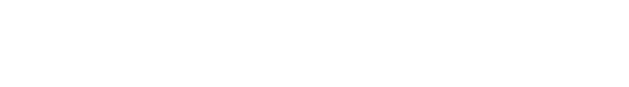 Observer
