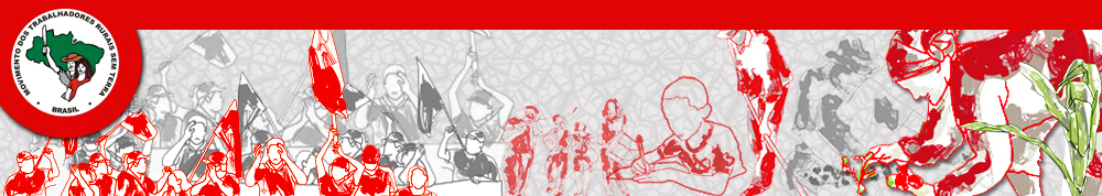 mstbrazil.org
