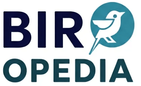 birdopedia.com