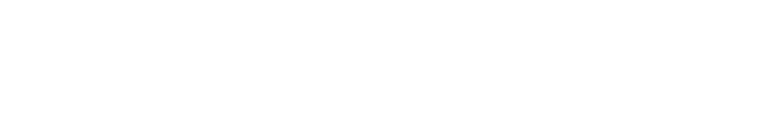 The New Union Post