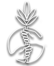 Imagen Foundation