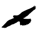 conservewildlifenj.org