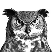 schutzwerk.com