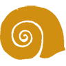snail-world.com