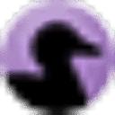 blackduck.com