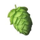 My BeerBuzz