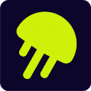 jellyfish.co