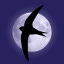midnightmurmurations.substack.com