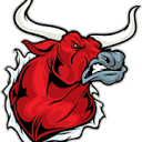 thebullvine.com