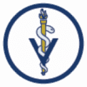 VIN Foundation
