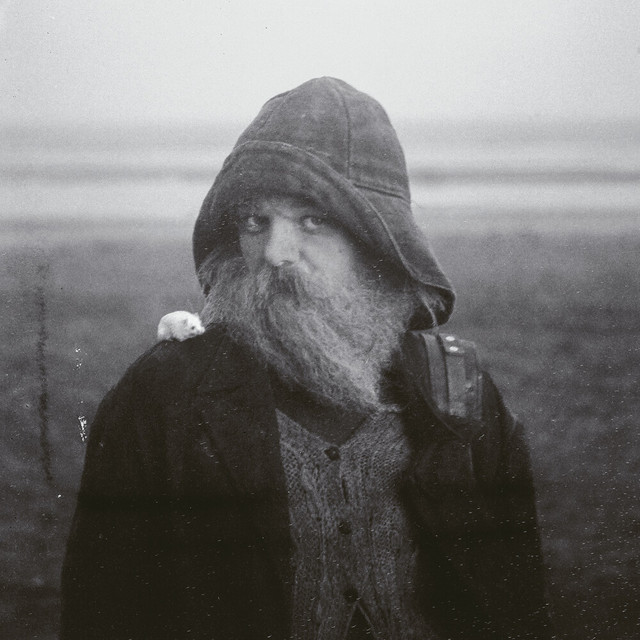 Role Model Hermit - Album by mary in the junkyard | Spotify