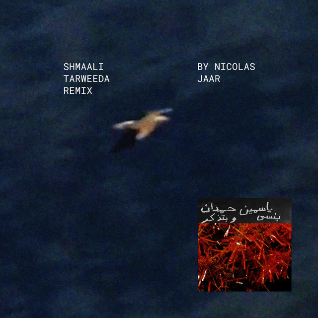 Shmaali شمالي Tarweeda (Nicolas Jaar Remix) - Single by Yasmine Hamdan | Spotify